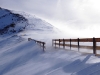 Snow Fence (photo Marc Gallin)